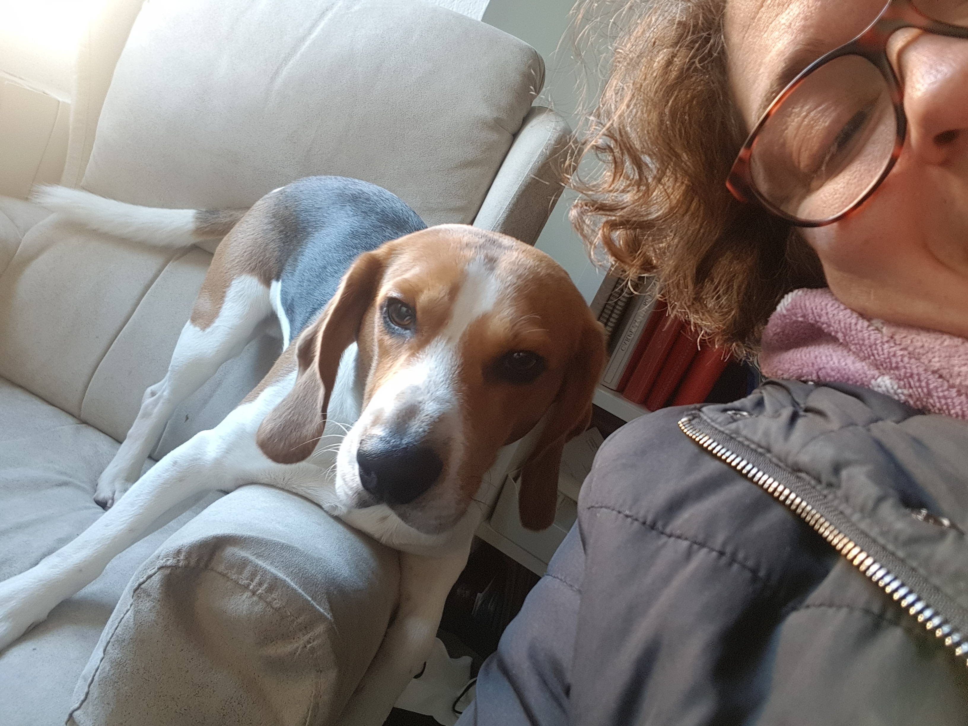 IMG_20190103_170856_443 (2)