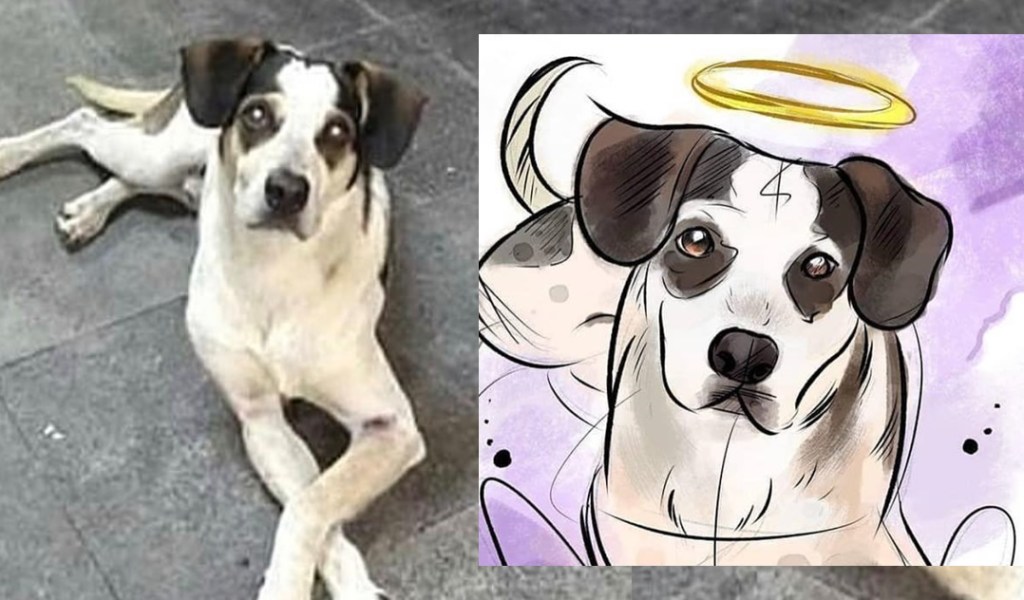 Una oración para algunos que se&nbsp;fueron…