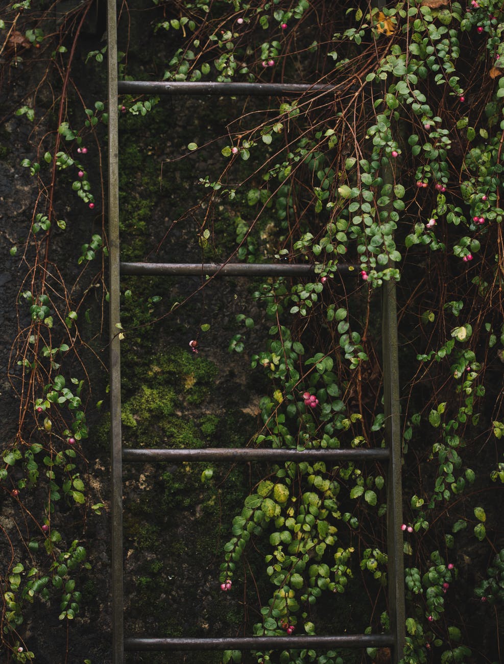 PITADAS DEL DÍA A&nbsp;DÍA.